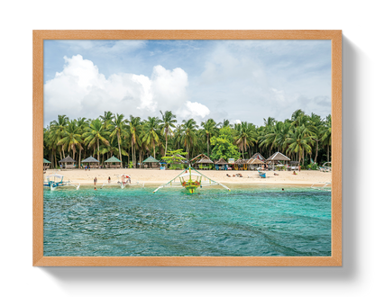 Palm Island