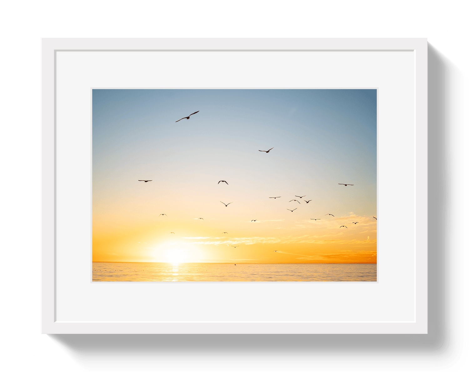 Johnny Vacay White / 11x14 / Matte Mexican Sunset