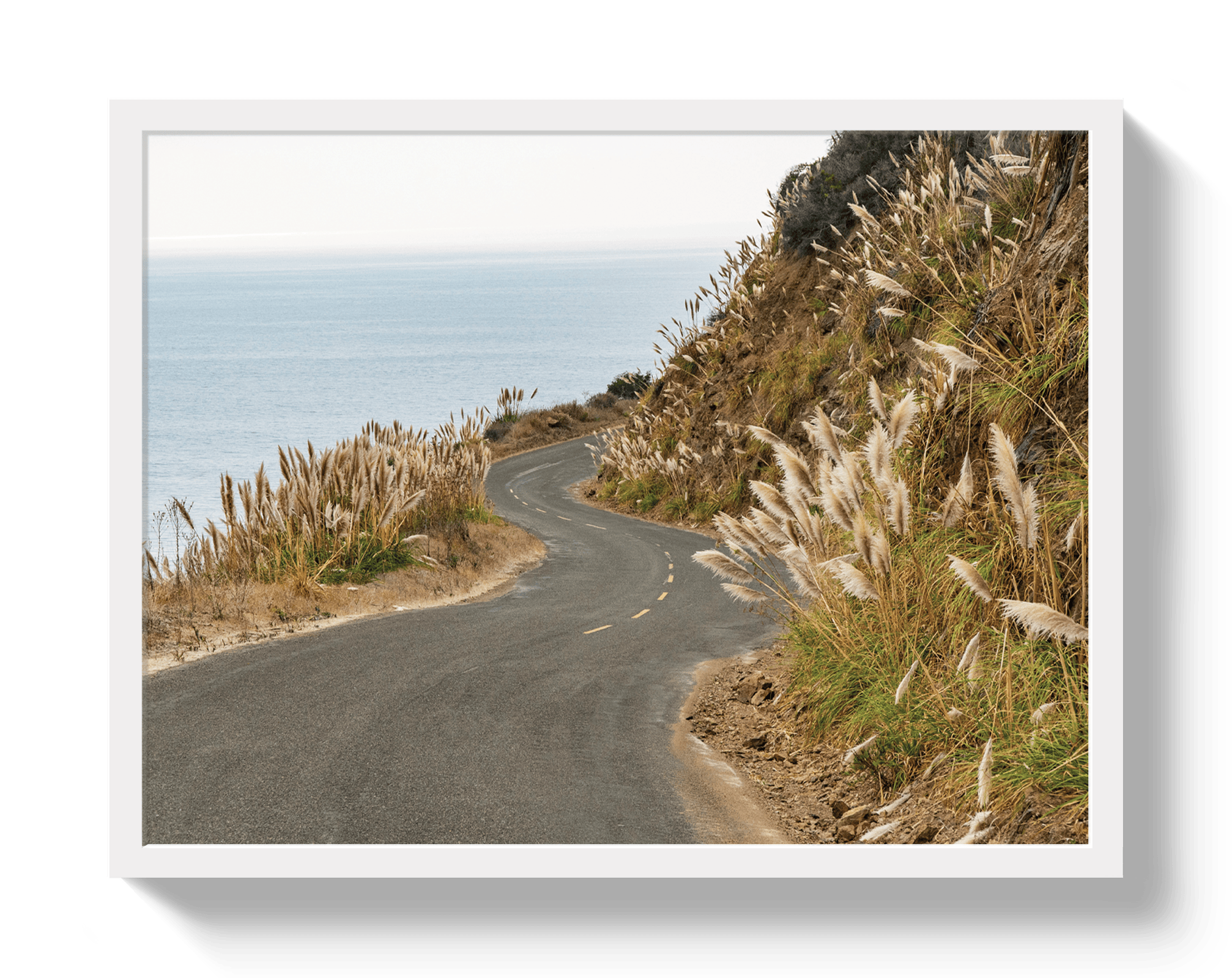 Johnny Vacay White / 11x14 / Full Bleed Big Sur
