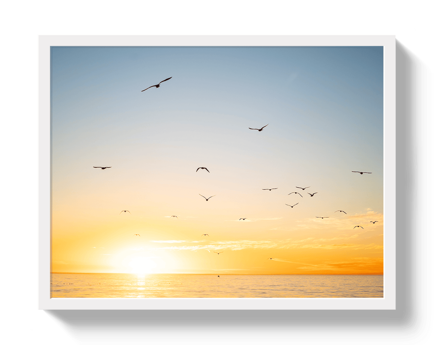 Johnny Vacay White / 11x14 / Full Bleed Mexican Sunset
