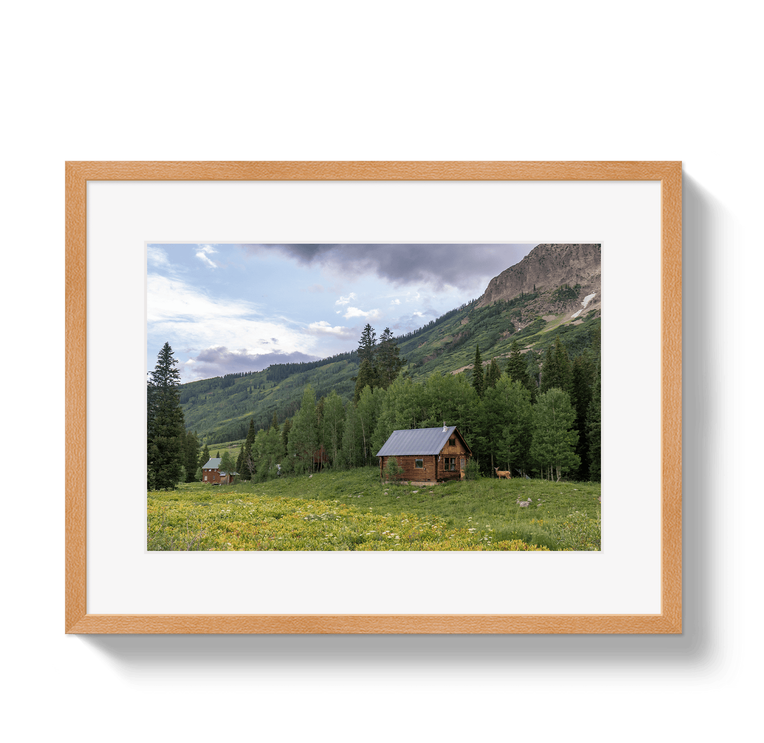 Johnny Vacay Oak / 11x14 / Matte Mountain Magic