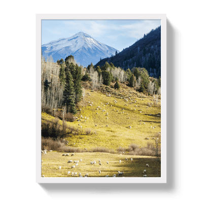 Johnny Vacay White / 11x14 / Full Bleed Free To Roam