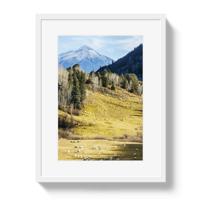 Johnny Vacay White / 11x14 / Border Free To Roam