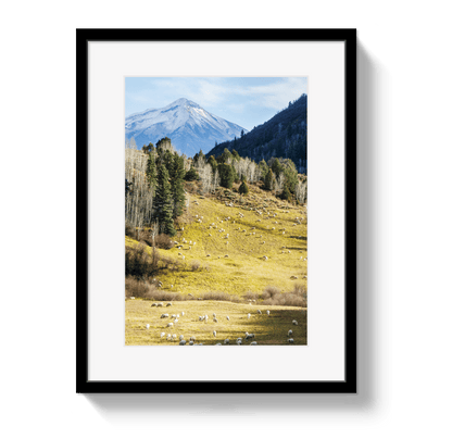 Johnny Vacay Black / 11x14 / Border Free To Roam