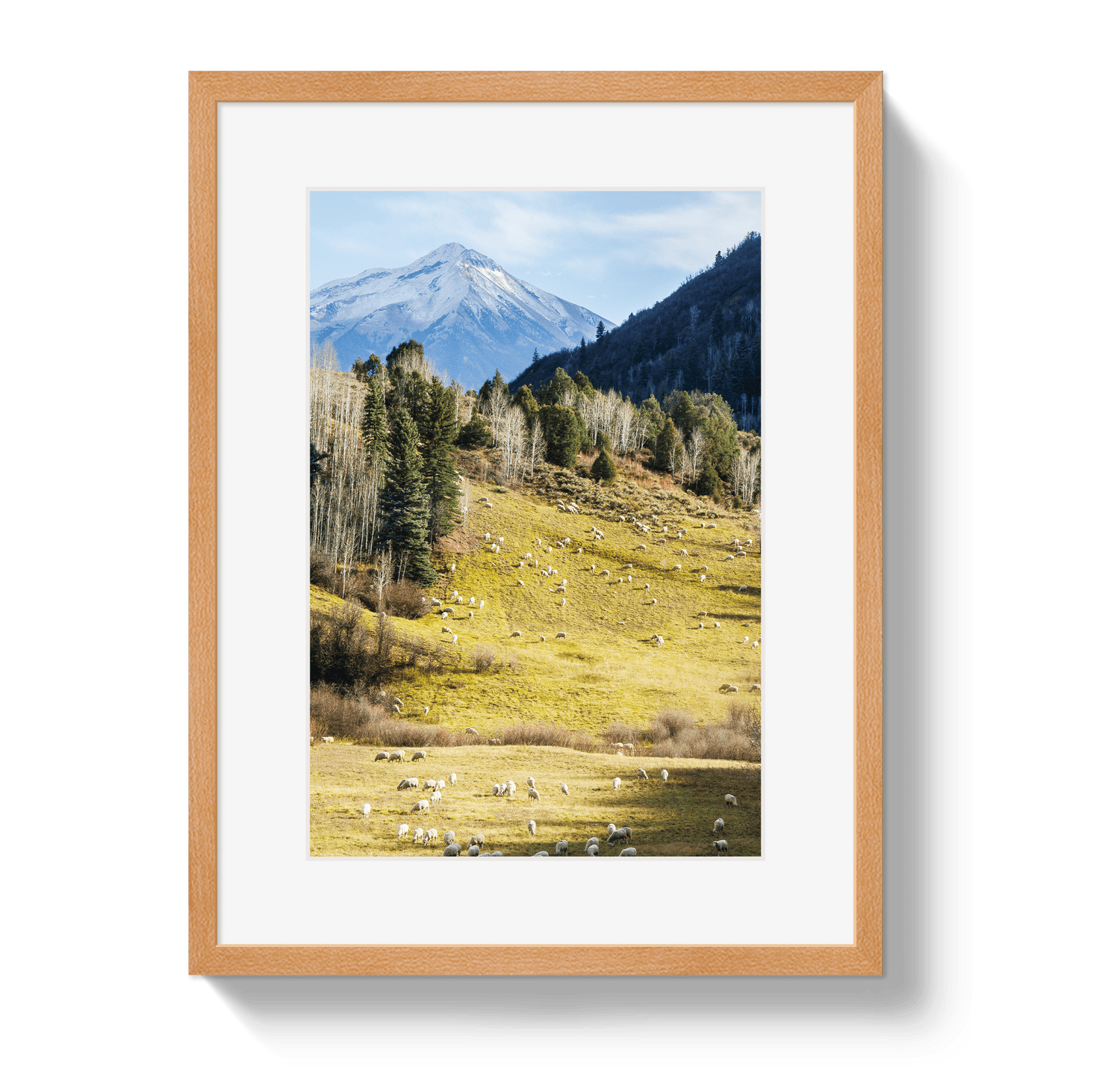 Johnny Vacay Oak / 11x14 / Matte Free To Roam