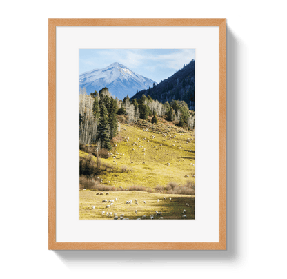 Johnny Vacay Oak / 11x14 / Border Free To Roam