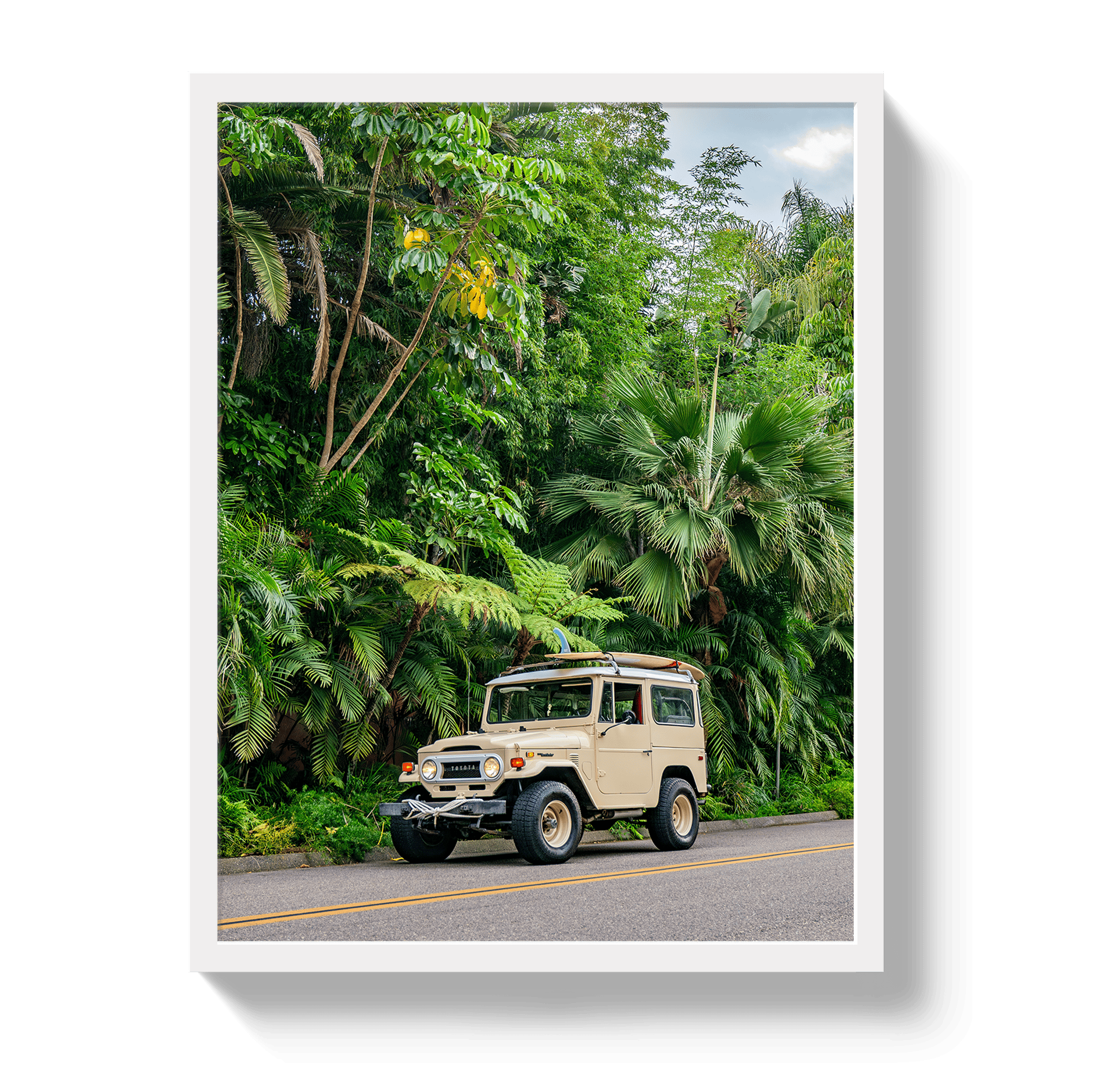 Johnny Vacay White / 11x14 / Full Bleed Tropical FJ 2
