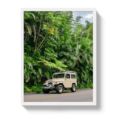 Johnny Vacay White / 11x14 / Full Bleed Tropical FJ 2