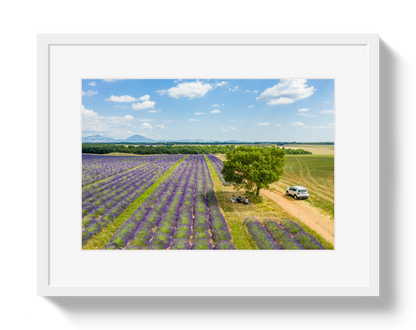 Provence Picnic