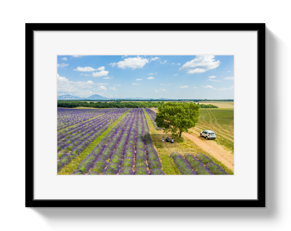 Provence Picnic