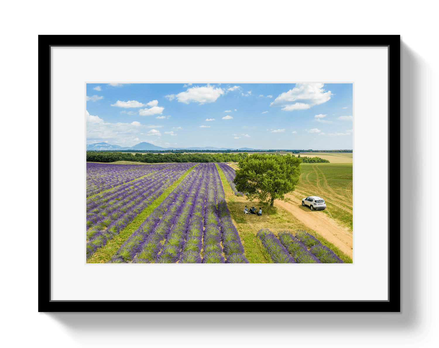 Johnny Vacay Black / 11x14 / Matte Provence Picnic