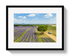 Johnny Vacay Black / 11x14 / Matte Provence Picnic