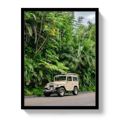 Johnny Vacay Black / 11x14 / Full Bleed Tropical FJ 2