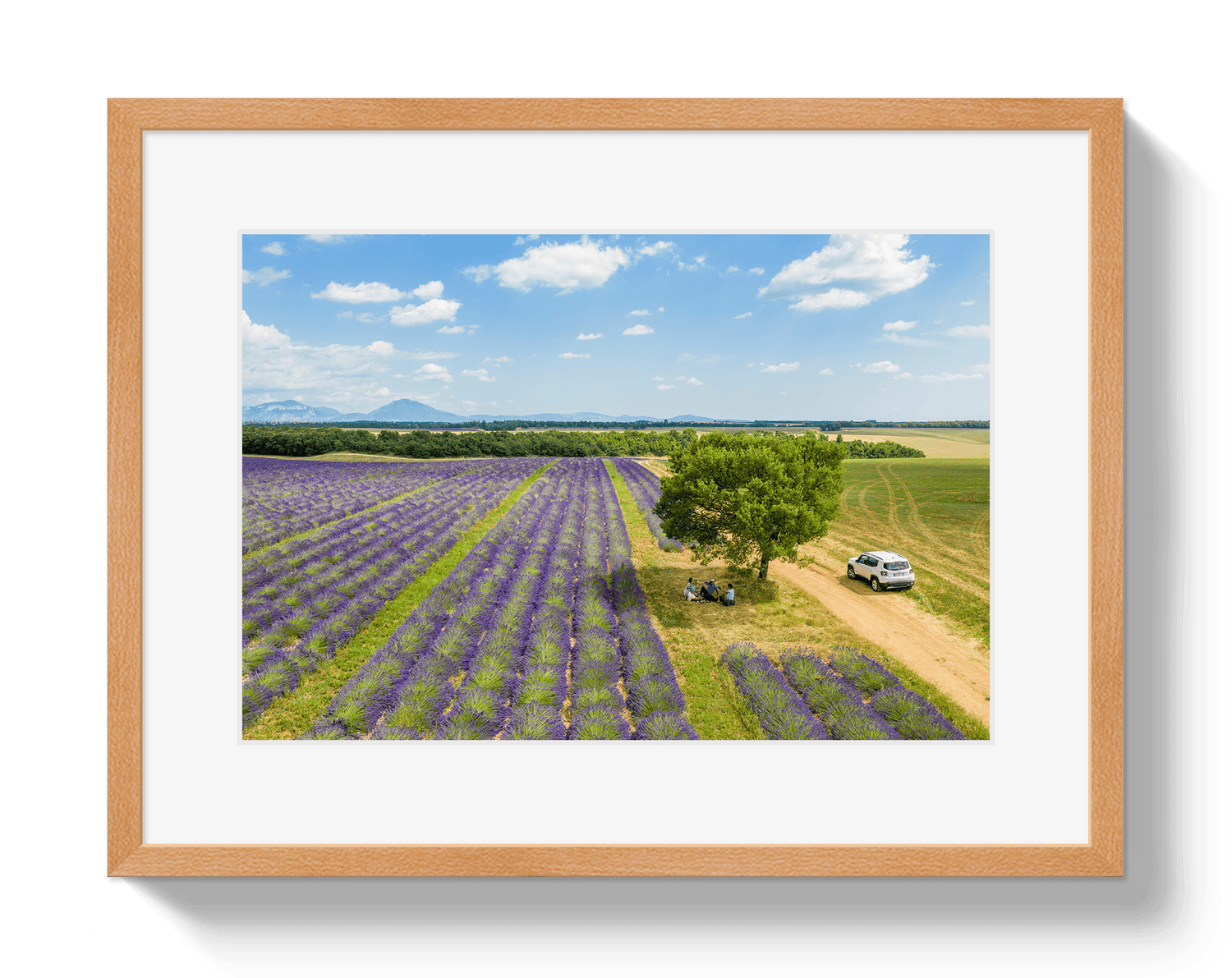 Johnny Vacay Oak / 11x14 / Matte Provence Picnic