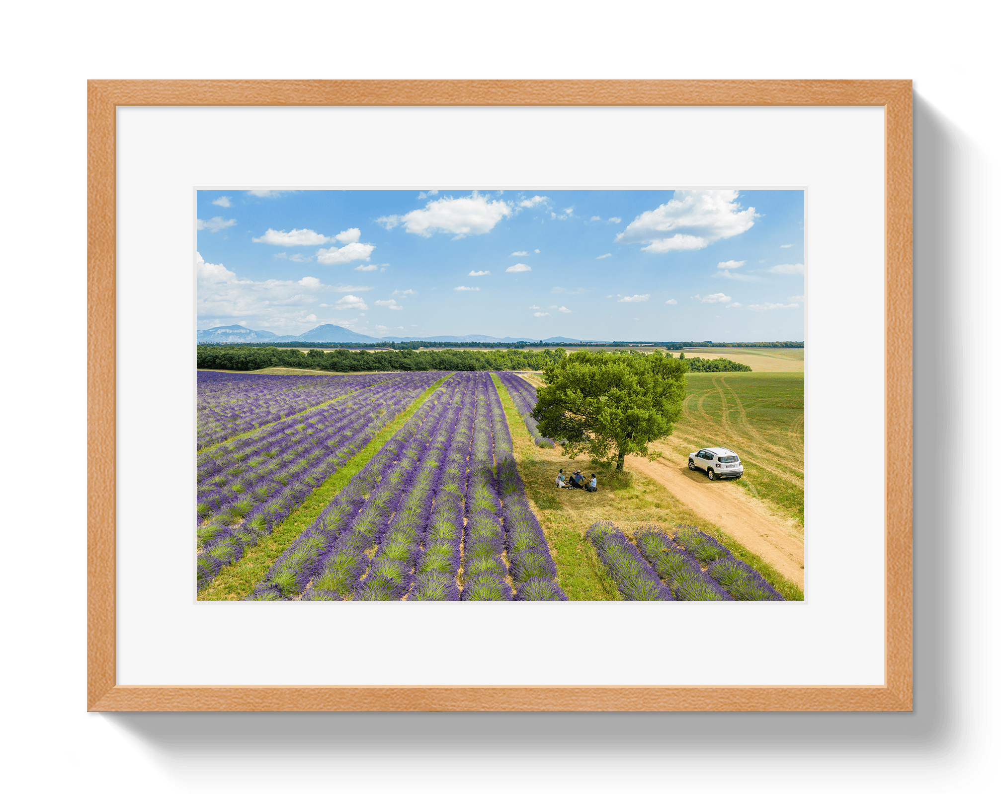 Johnny Vacay Oak / 11x14 / Matte Provence Picnic