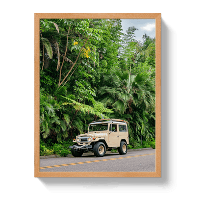 Johnny Vacay Oak / 11x14 / Full Bleed Tropical FJ 2