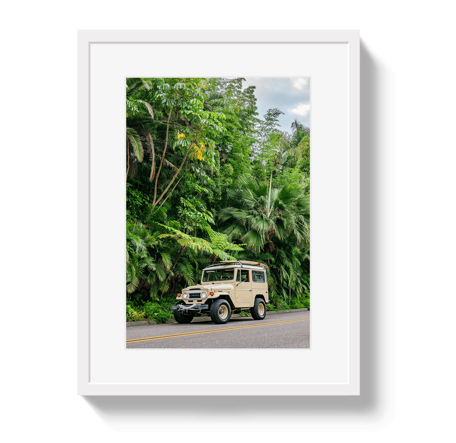 Johnny Vacay White / 11x14 / Matte Tropical FJ 2