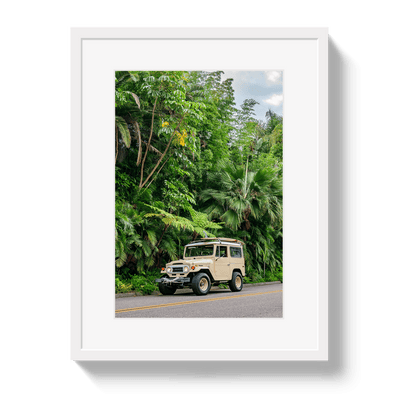 Johnny Vacay White / 11x14 / Border Tropical FJ 2
