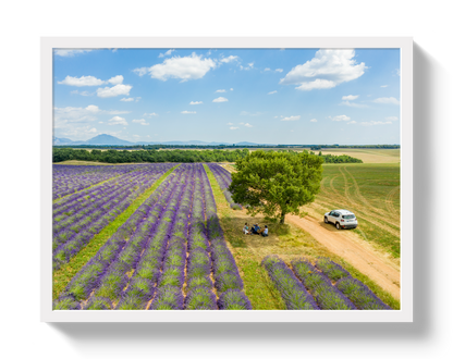 Provence Picnic