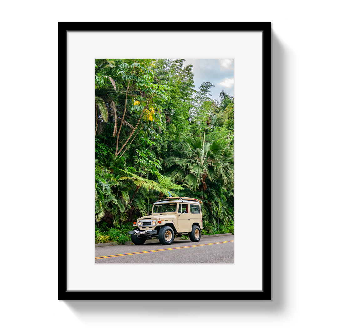Tropical FJ 2