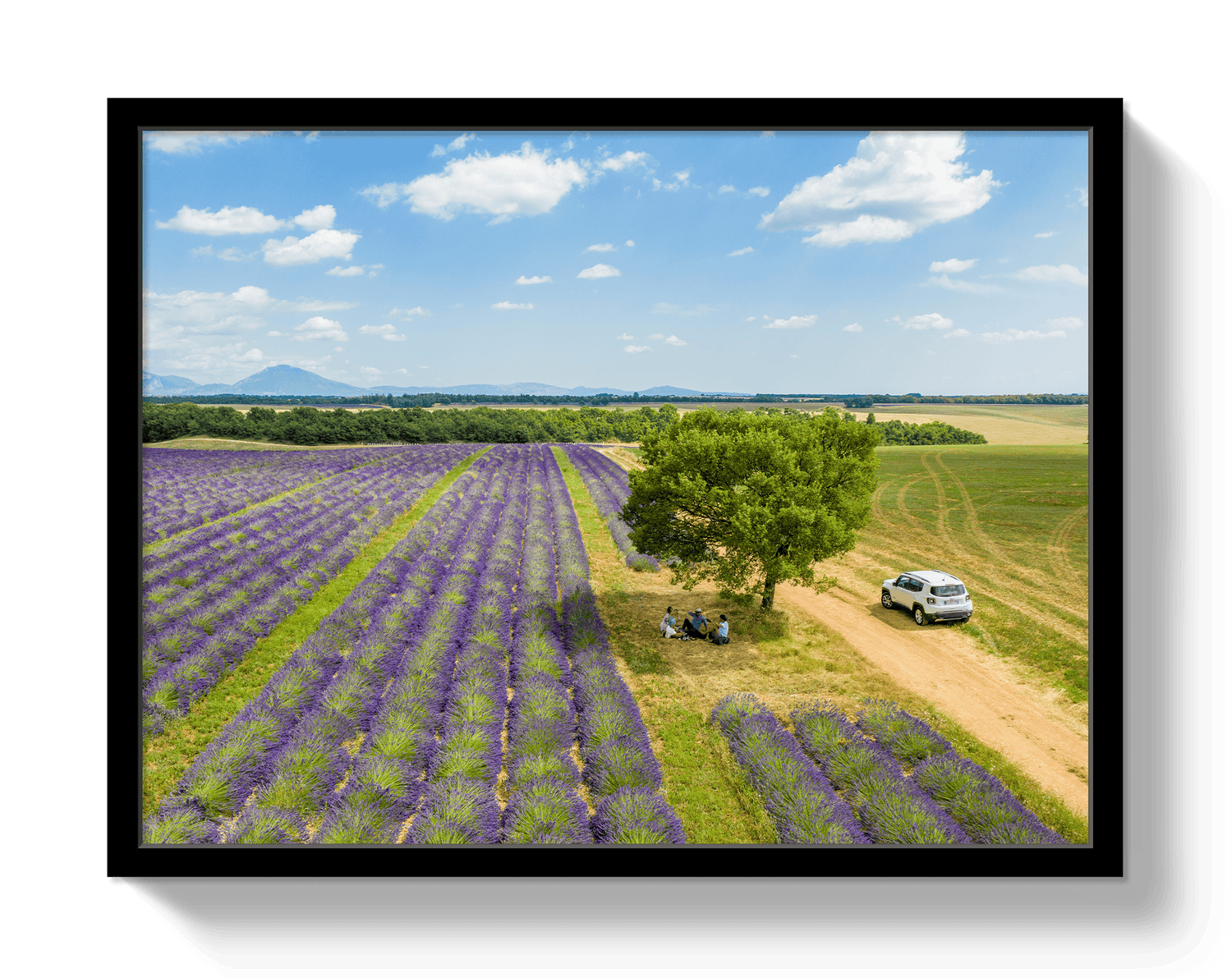 Johnny Vacay Black / 11x14 / Full Bleed Provence Picnic