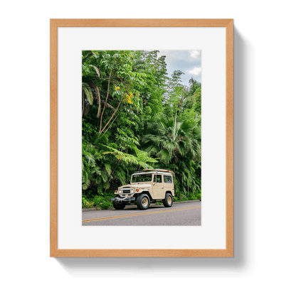 Johnny Vacay Oak / 11x14 / Border Tropical FJ 2