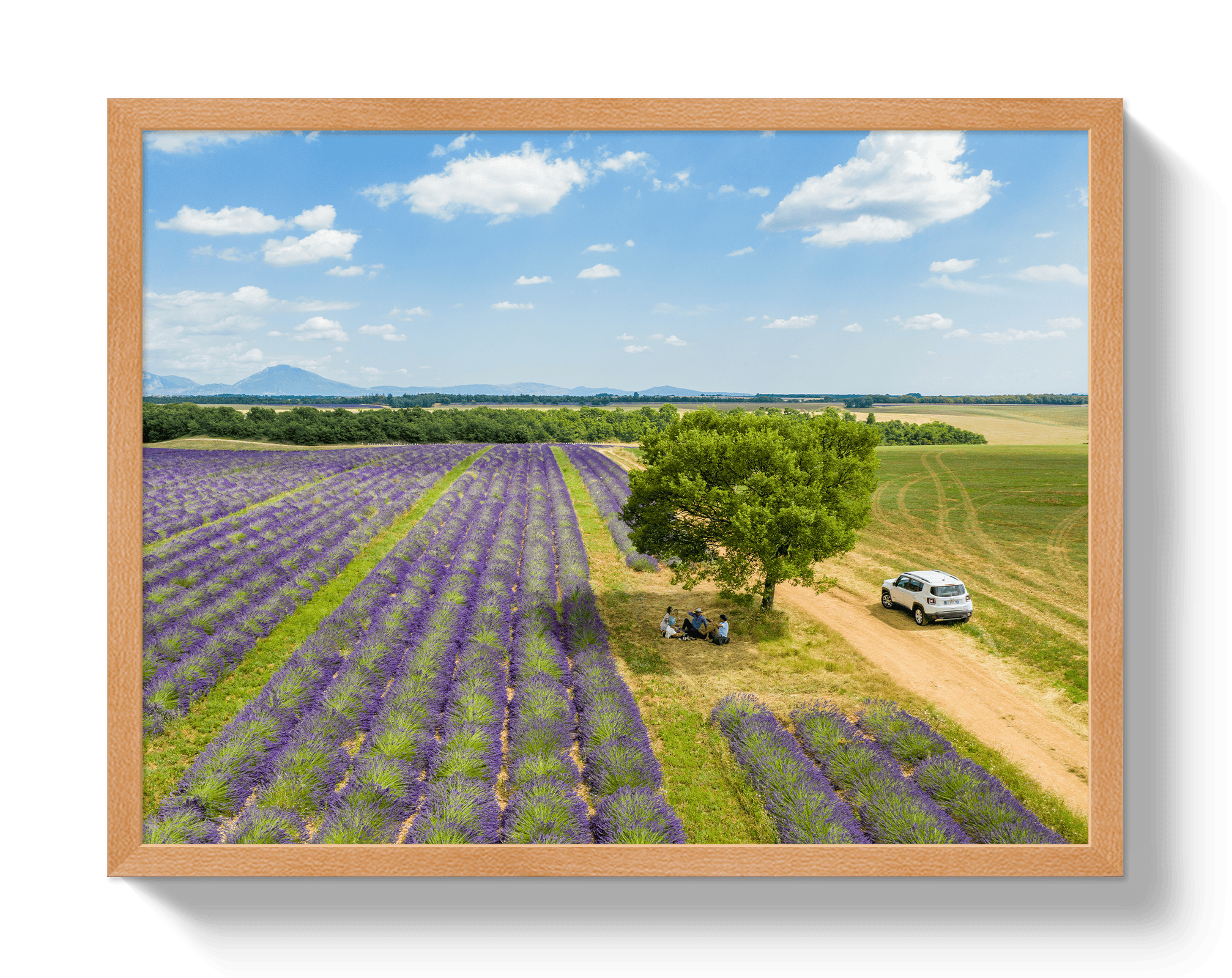 Johnny Vacay Oak / 11x14 / Full Bleed Provence Picnic