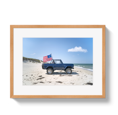 American Bronco