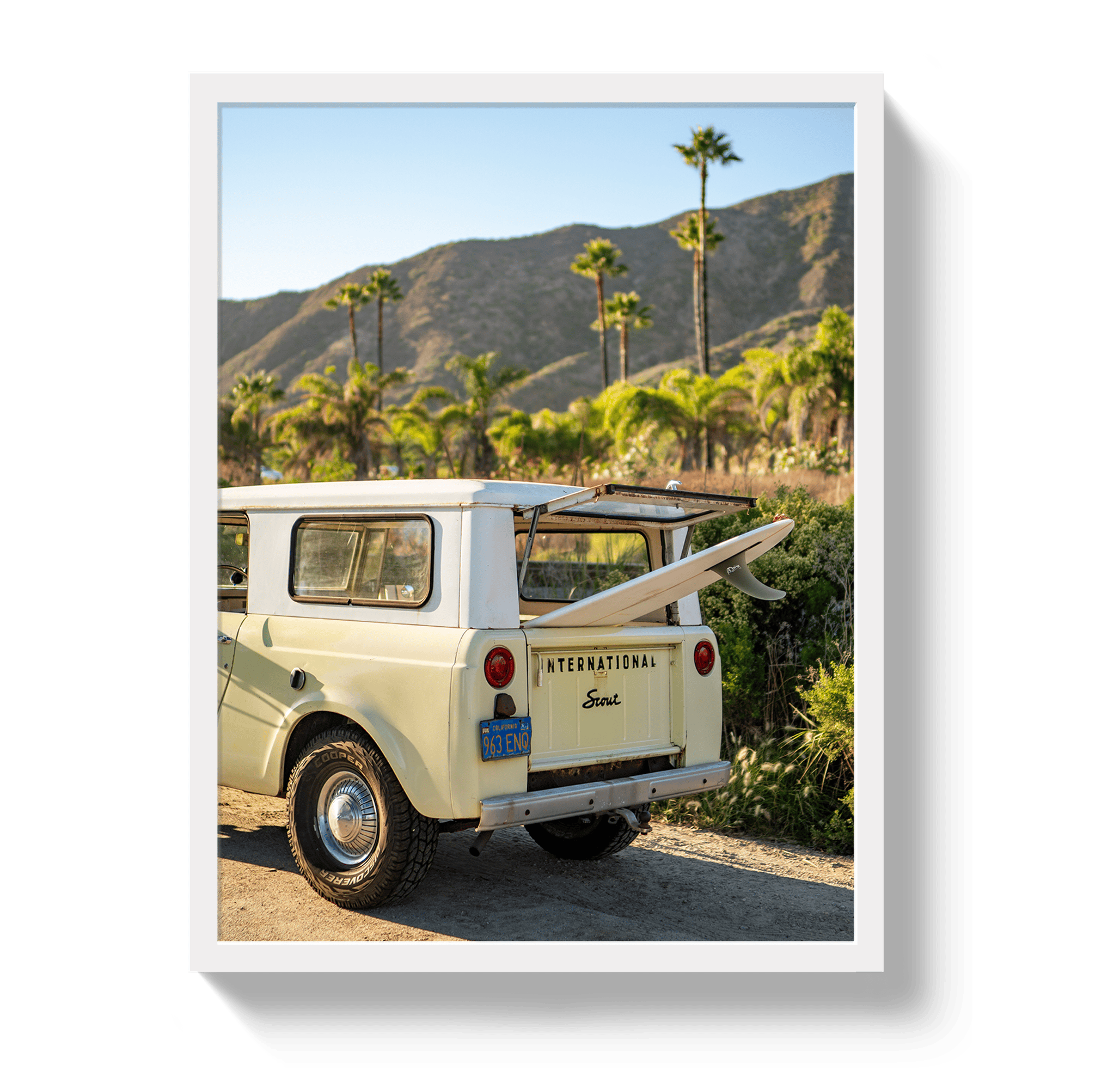 Johnny Vacay White / 11x14 / Full Bleed Scout Palms