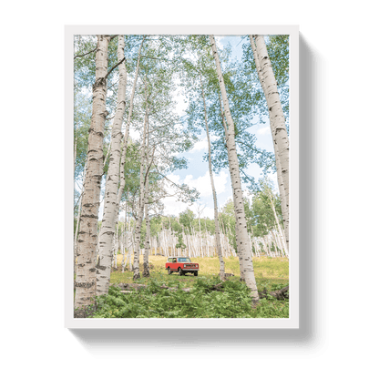 Johnny Vacay White / 11x14 / Full Bleed Aspen Scout