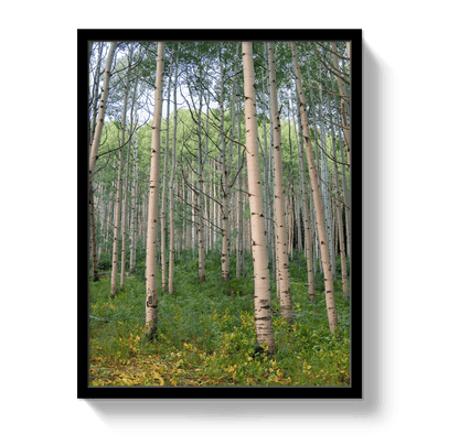 Johnny Vacay Black / 11x14 / Full Bleed Aspen Grove