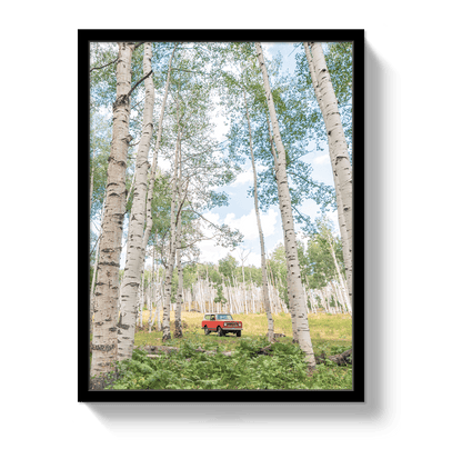 Johnny Vacay Black / 11x14 / Full Bleed Aspen Scout