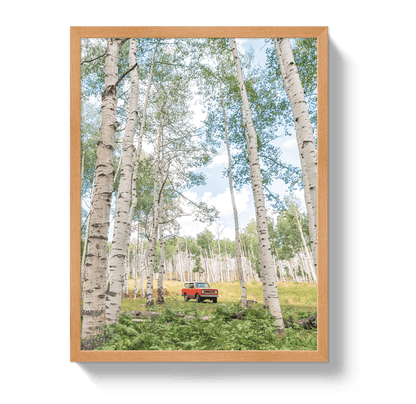 Johnny Vacay Oak / 11x14 / Full Bleed Aspen Scout