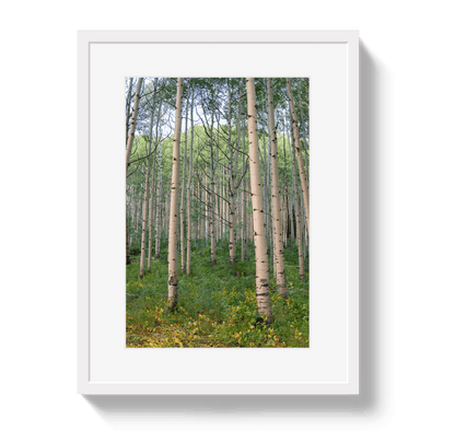 Johnny Vacay White / 11x14 / Border Aspen Grove