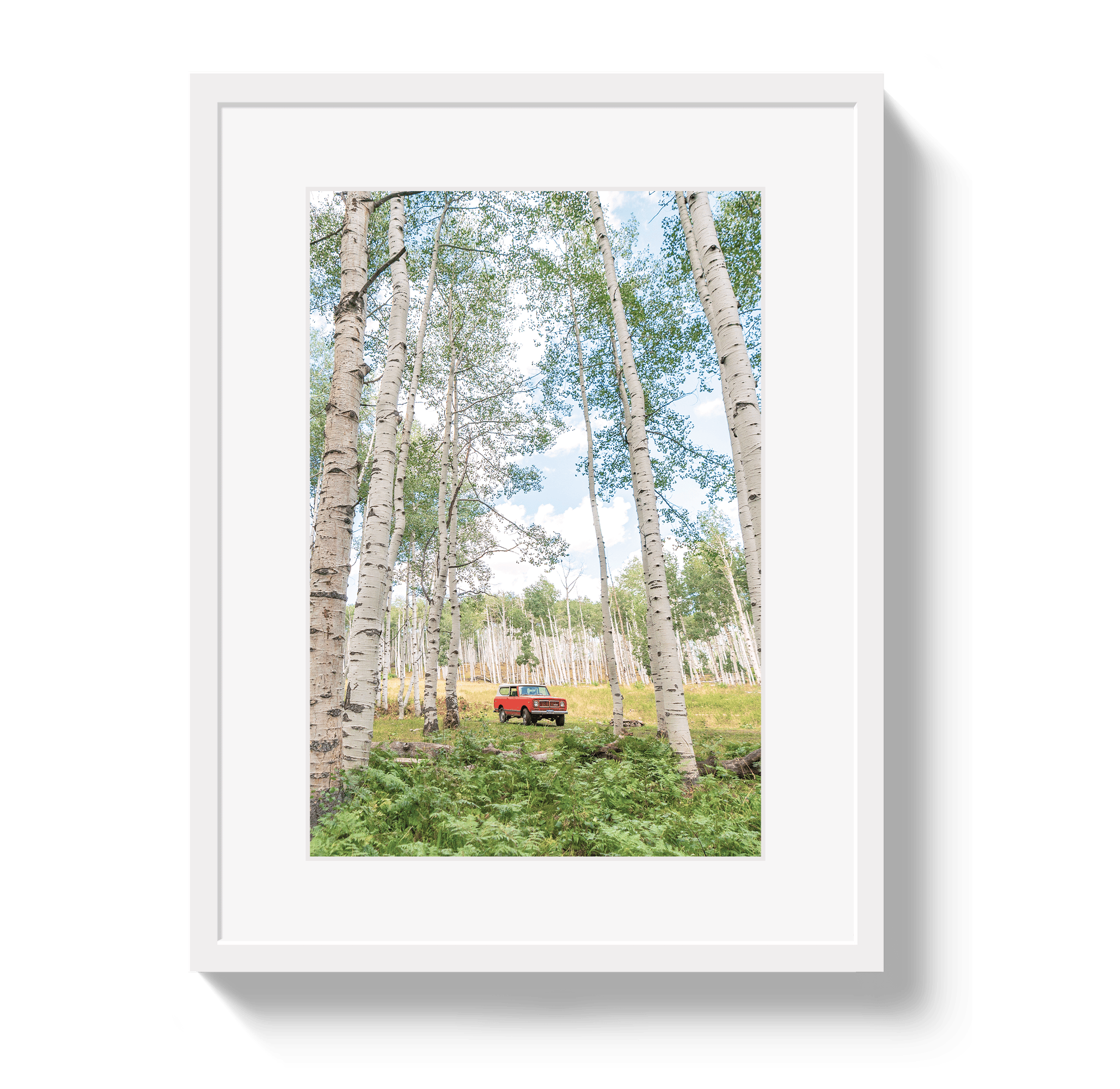 Johnny Vacay White / 11x14 / Matte Aspen Scout
