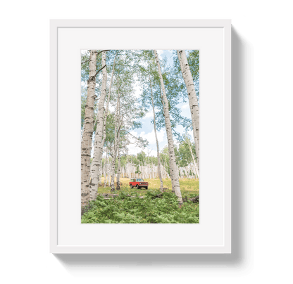 Johnny Vacay White / 11x14 / Border Aspen Scout