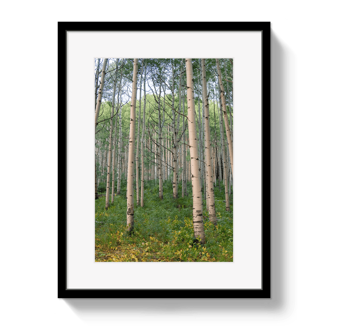 Johnny Vacay Black / 11x14 / Matte Aspen Grove