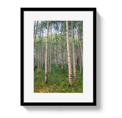 Johnny Vacay Black / 11x14 / Border Aspen Grove
