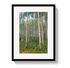 Johnny Vacay Black / 11x14 / Matte Aspen Grove