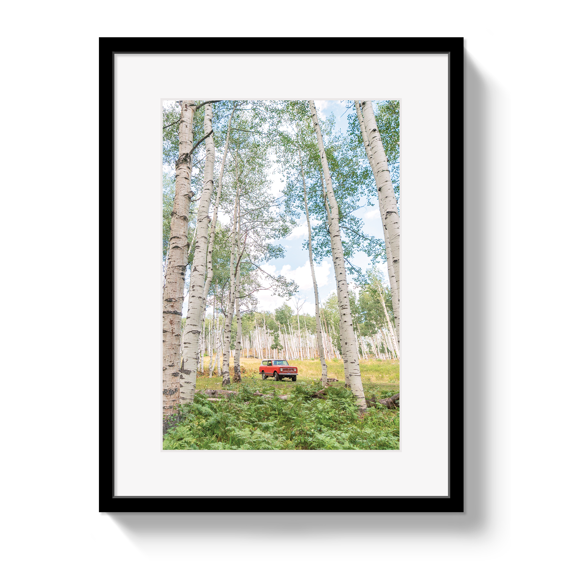 Framed photograph of a red truck in a forest with birch trees