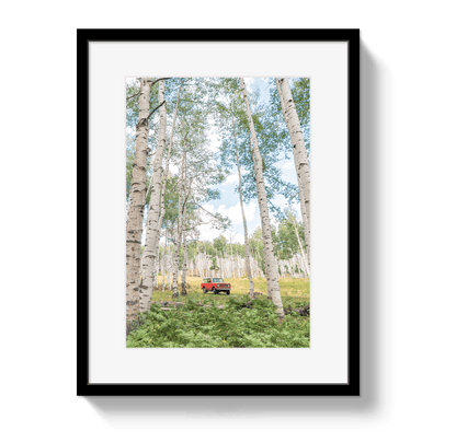 Johnny Vacay Black / 11x14 / Border Aspen Scout