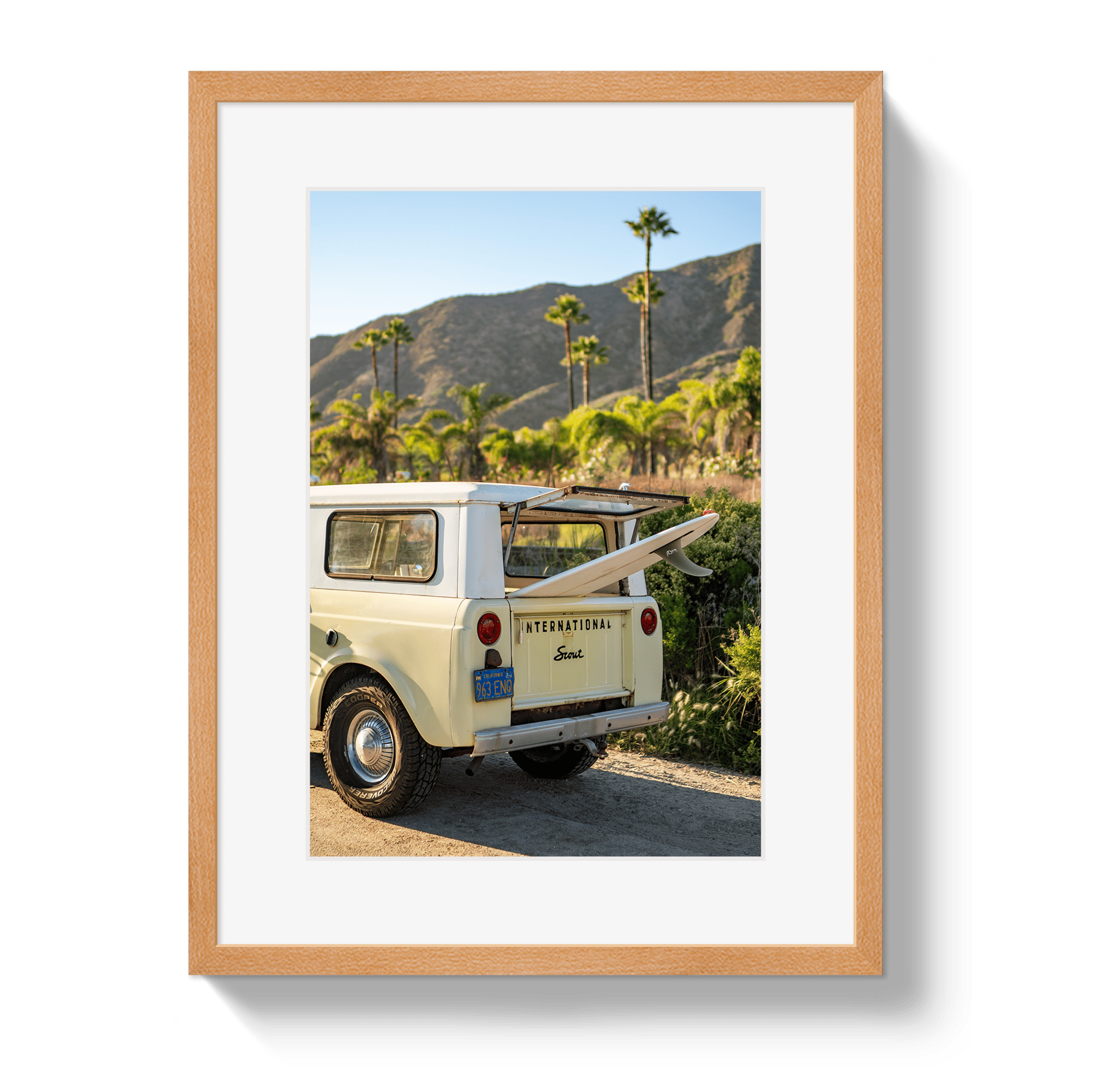 Johnny Vacay Oak / 11x14 / Matte Scout Palms