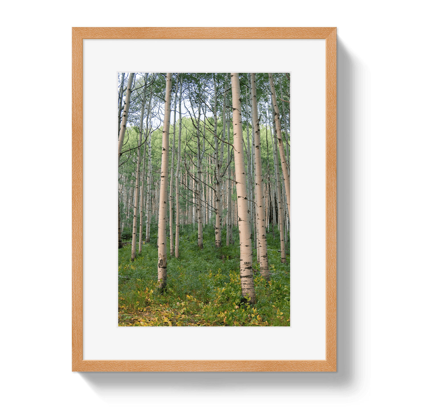 Johnny Vacay Oak / 11x14 / Matte Aspen Grove