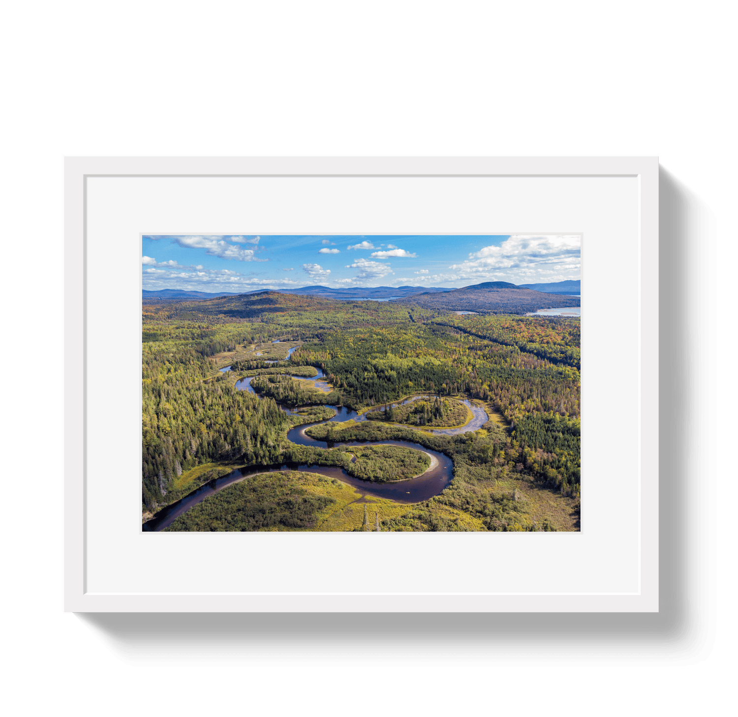 Johnny Vacay White / 11x14 / Matte Lazy River