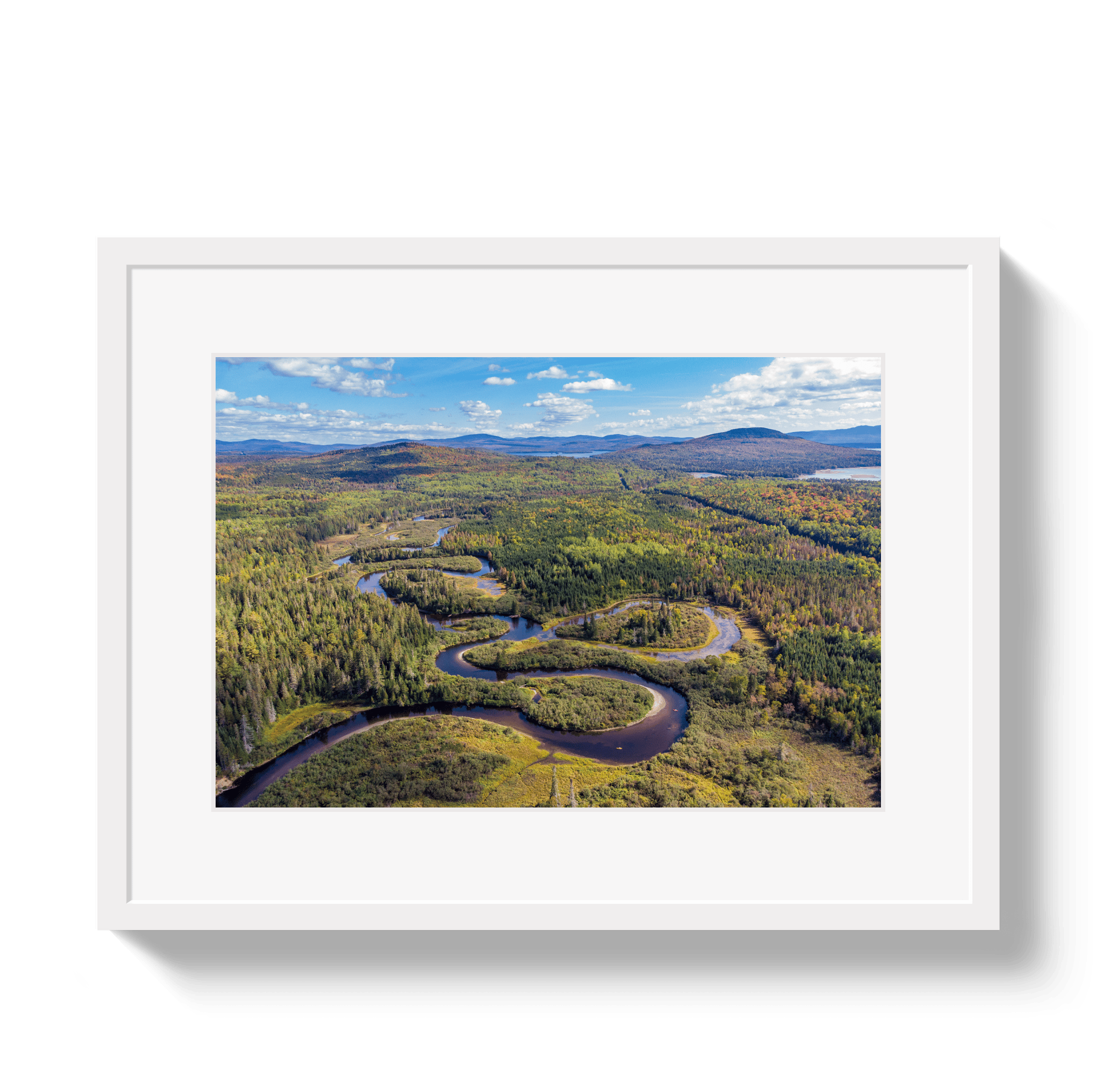 Johnny Vacay White / 11x14 / Matte Lazy River