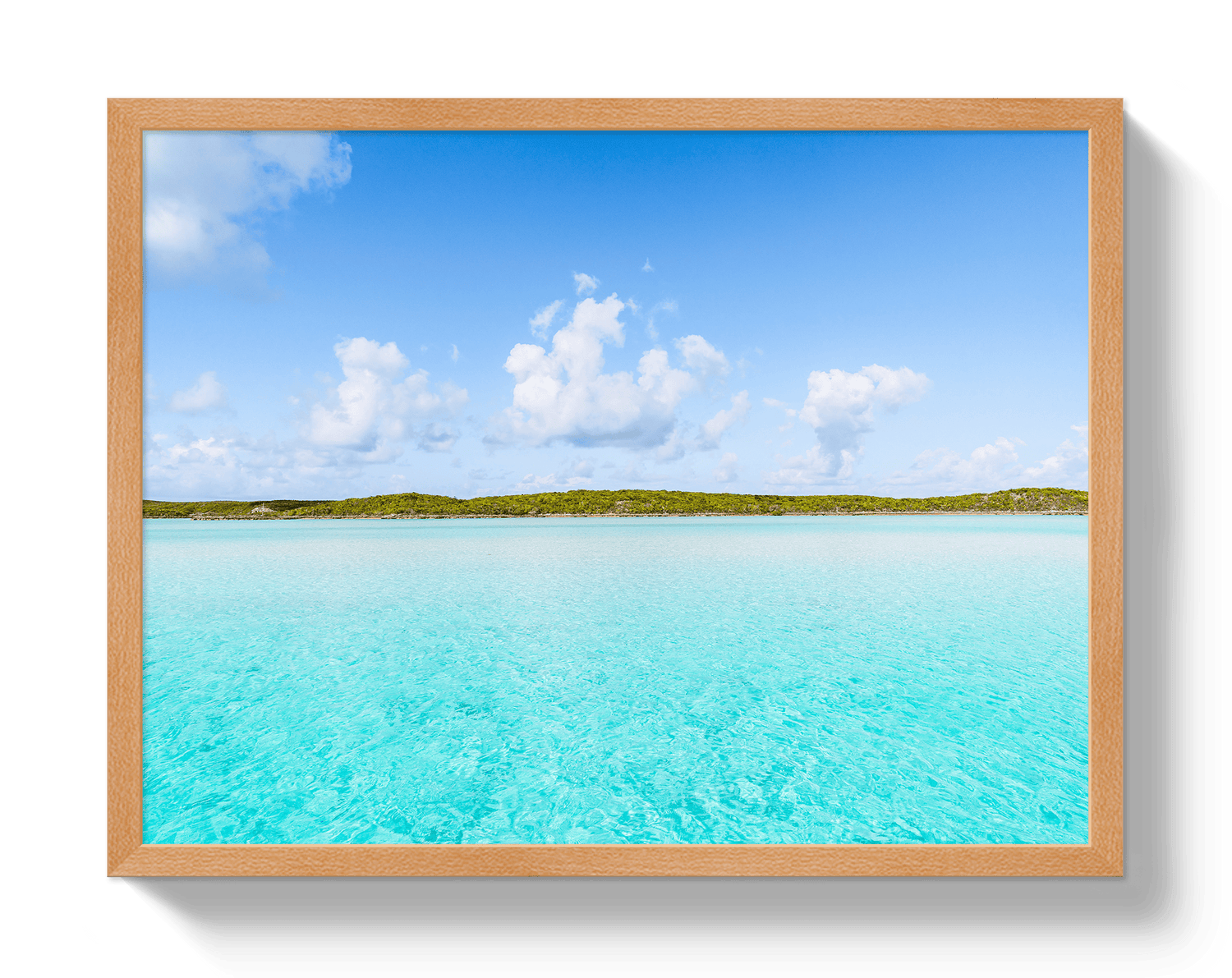 Johnny Vacay Oak / 11x14 / Full Bleed Bahama Blue