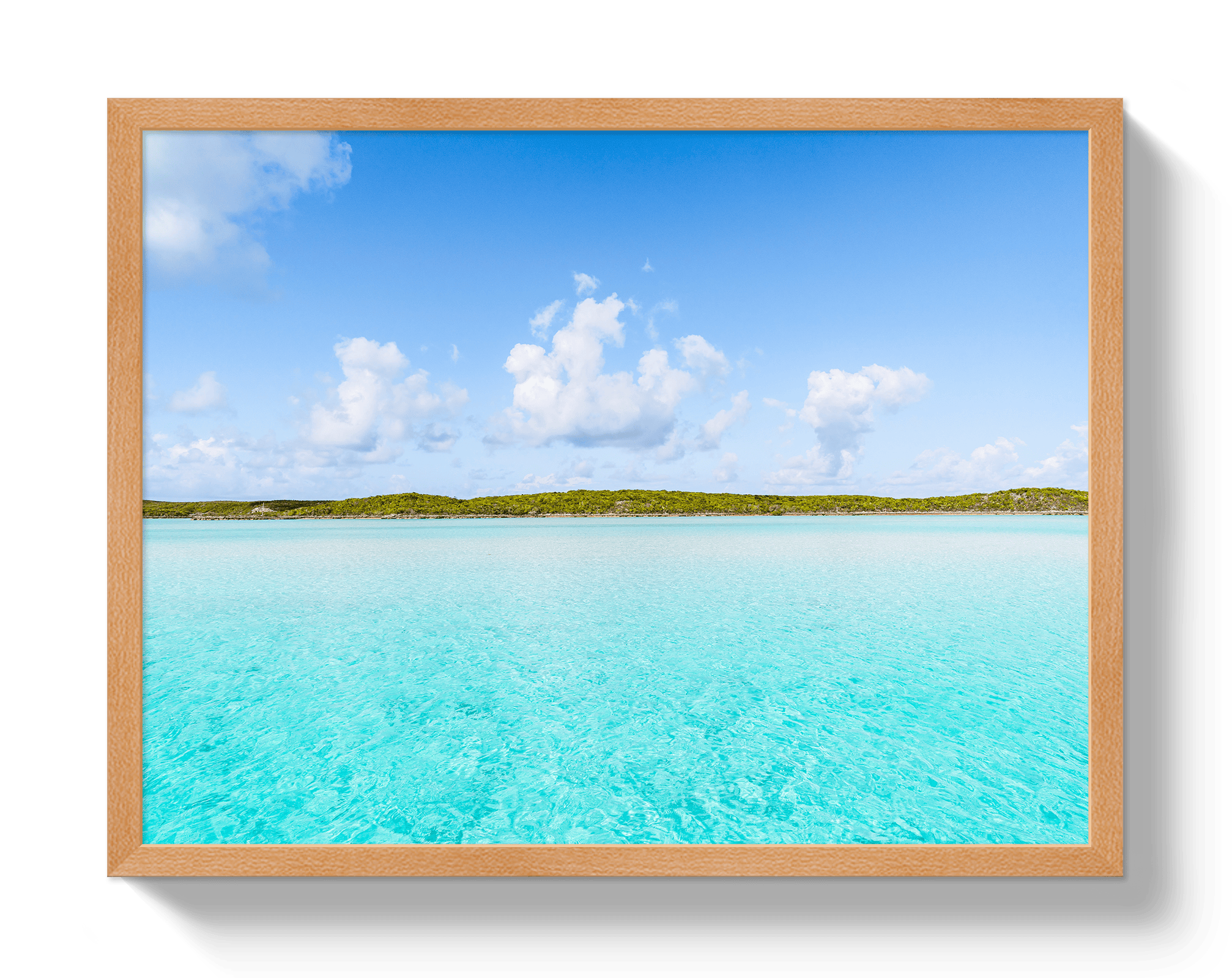 Johnny Vacay Oak / 11x14 / Full Bleed Bahama Blue