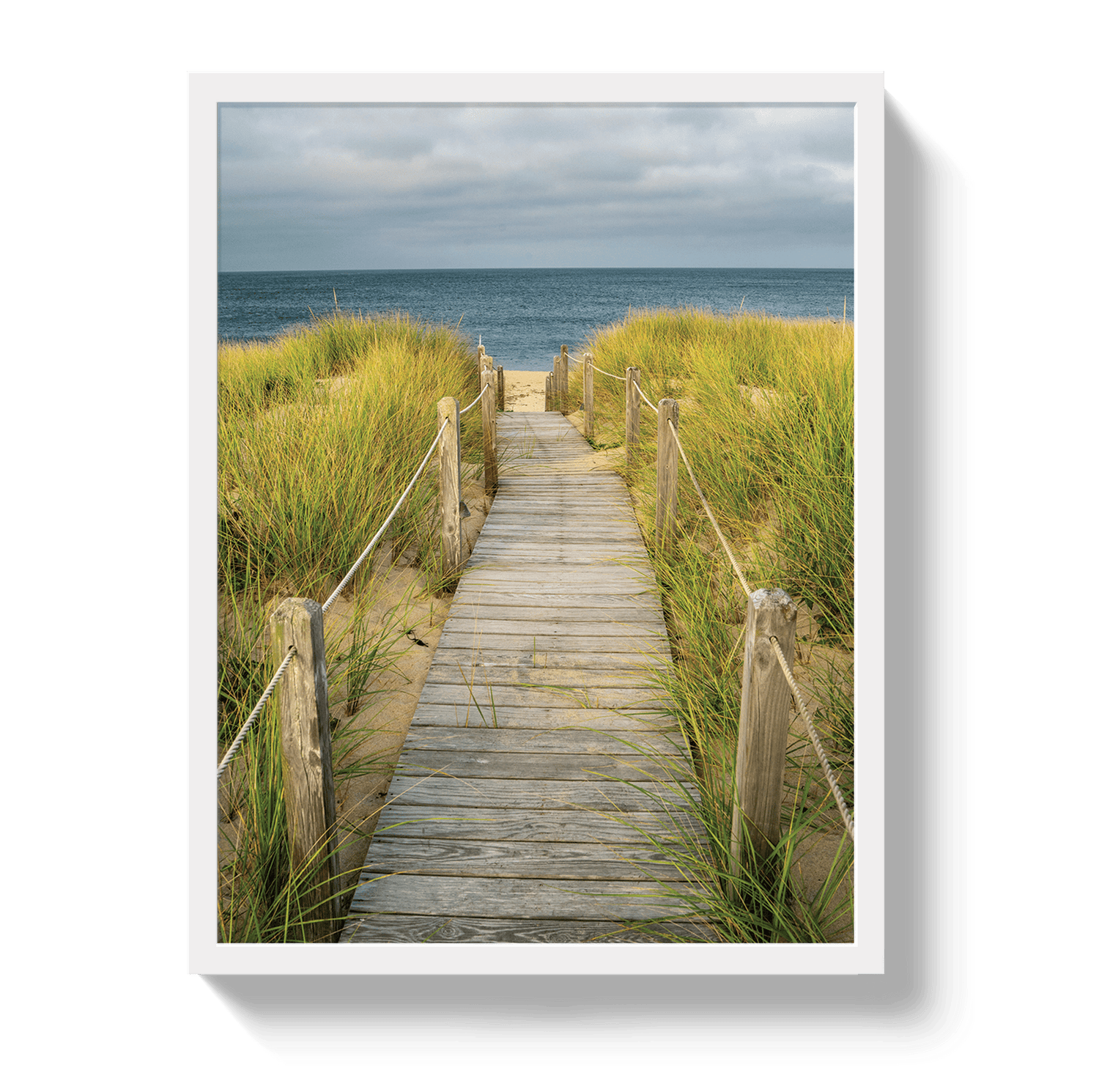 Johnny Vacay White / 11x14 / Full Bleed Path To Heaven