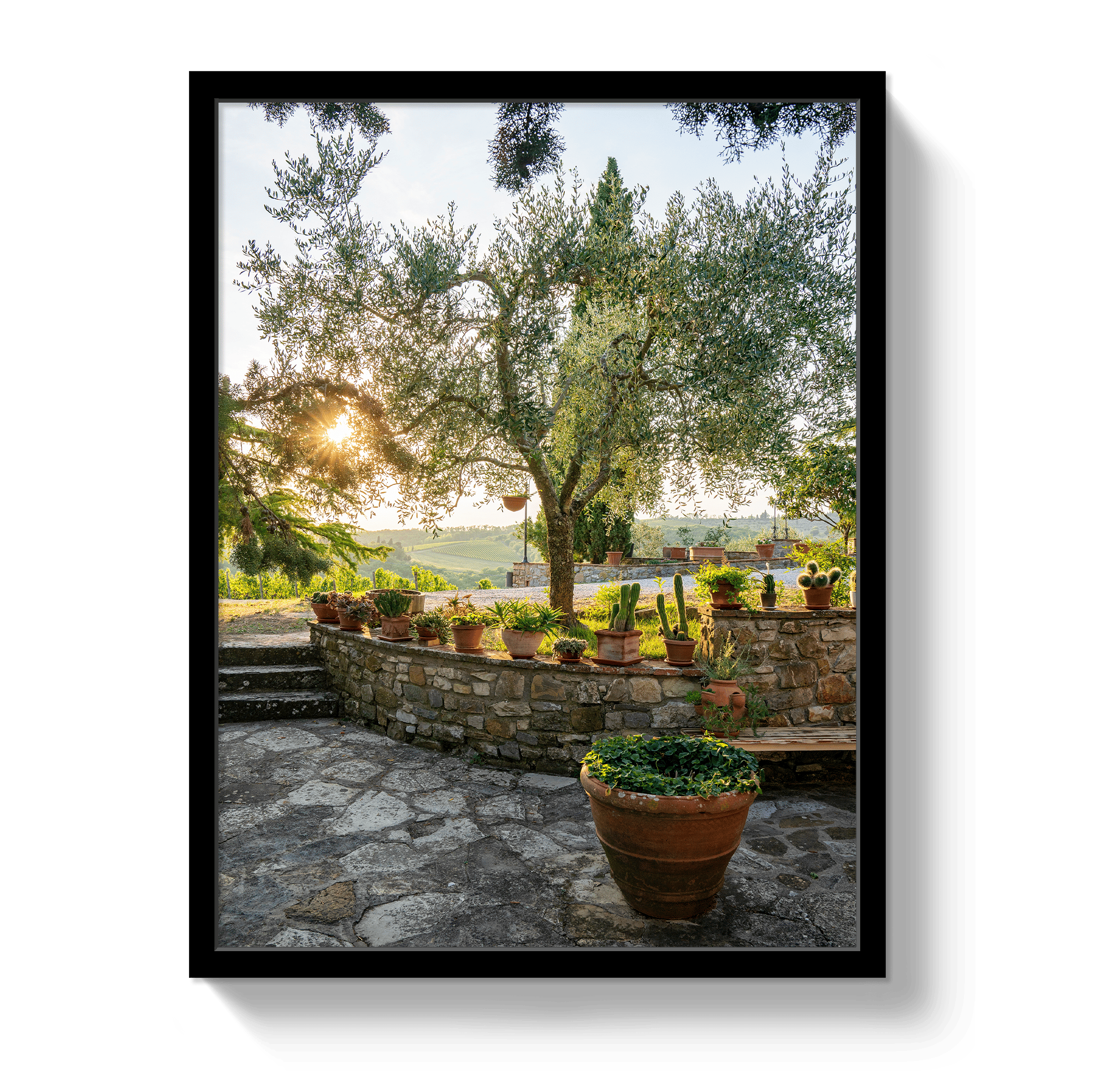 Johnny Vacay Black / 11x14 / Full Bleed Garden View