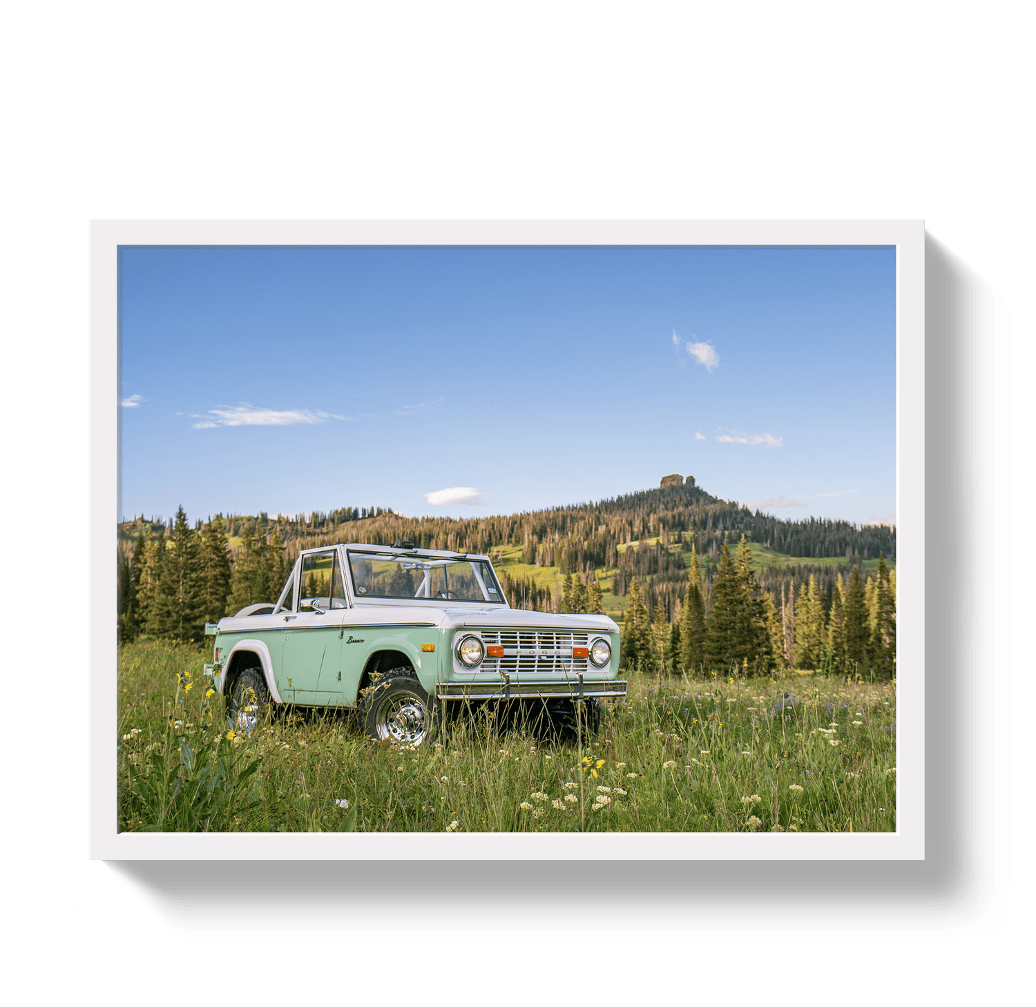 Johnny Vacay White / 11x14 / Full Bleed Bronco View 2